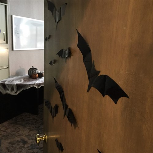 Drive Me Batty