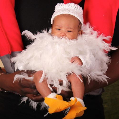 Baby Chickie (a.k.a baby Pearl)