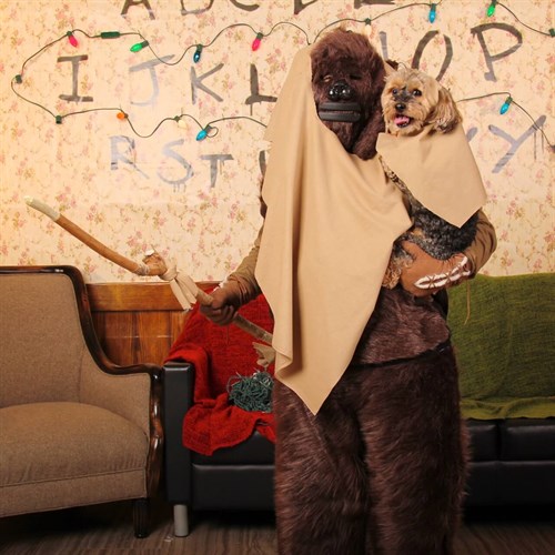 Ewok